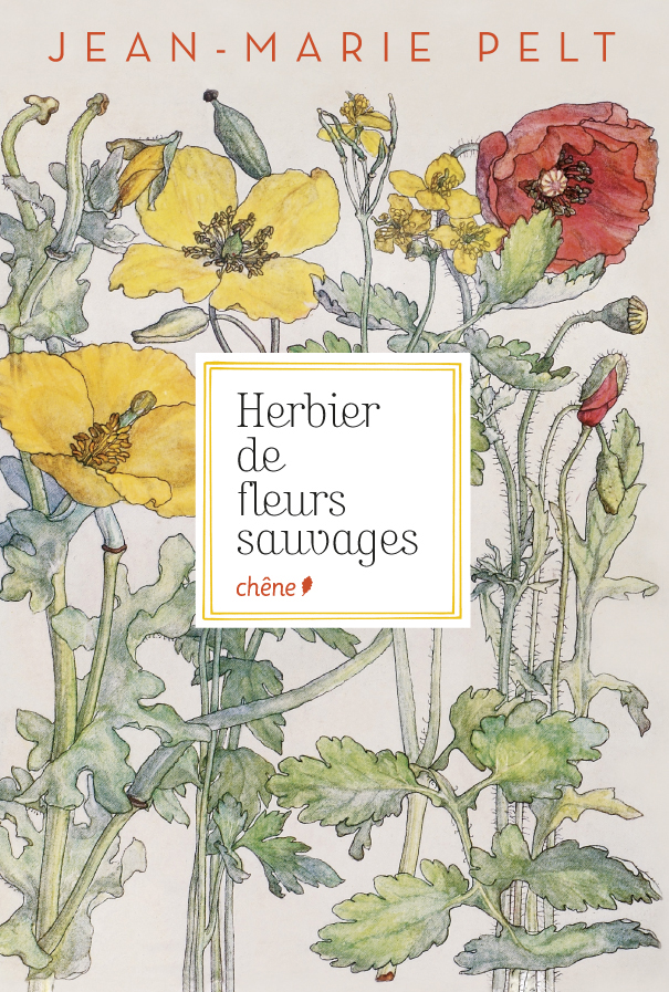 Dessins et peintures, Herbier de fleurs sauvages, Jean-Marie Pelt, Le Chêne